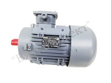 Электродвигатель асинхронный VOLT VM  100-8/4 S1 IMV14/IM3601 1500/750  Р=1,0/1,7 кW