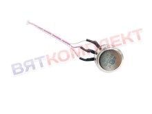 regulator_speeda_hurakan